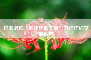 玩家必读“德扑辅助工具”开挂详细安装教程