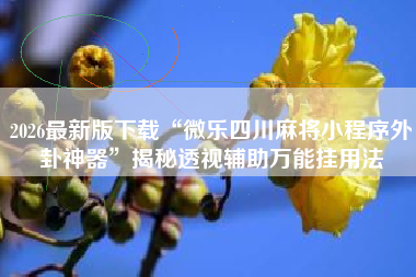 2026最新版下载“微乐四川麻将小程序外卦神器	”揭秘透视辅助万能挂用法