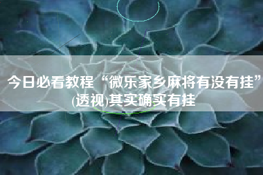 今日必看教程“微乐家乡麻将有没有挂”(透视)其实确实有挂