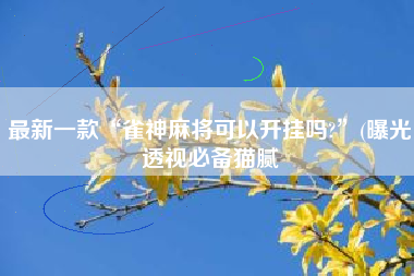 最新一款“雀神麻将可以开挂吗?”(曝光透视必备猫腻