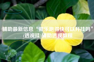 辅助最新信息“微乐跑得快可以开挂吗”(透视挂)辅助透视教程