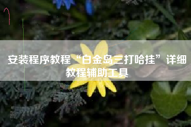 安装程序教程“白金岛三打哈挂	”详细教程辅助工具