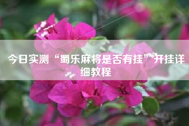 今日实测“蜀乐麻将是否有挂”开挂详细教程