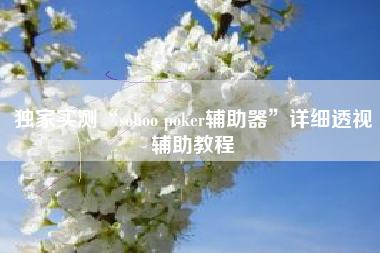 独家实测“sohoo poker辅助器	”详细透视辅助教程
