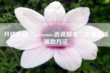 开挂教程“pokernow透视脚本”详细透视辅助方法