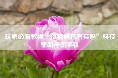 玩家必看教程“夜猫麻将有挂吗”科技辅助神器手机