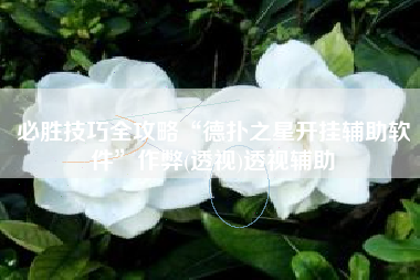 必胜技巧全攻略“德扑之星开挂辅助软件”作弊(透视)透视辅助