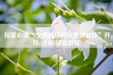 玩家必读“宁夏微乐开挂免费软件	”开挂(透视)辅助教程!