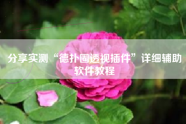 分享实测“德扑圈透视插件”详细辅助软件教程