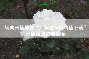 辅助开挂神器“广东雀神麻将挂下载”开挂辅助透视教程