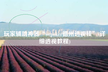 玩家辅助神器“wepoker德州透视挂	”(详细透视教程)