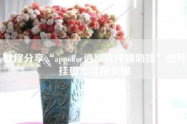 教程分享“appoker透视软件辅助挂”附开挂脚本详细步骤