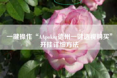 一键操作“AApoker德州一键透视购买”开挂详细方法
