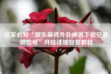 玩家必知“微乐麻将外卦神器下载安装微信号”开挂详细安装教程