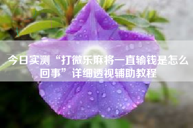 今日实测“打微乐麻将一直输钱是怎么回事	”详细透视辅助教程