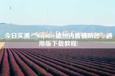 今日实测“Wepoker德州内置辅助器”通用版下载教程!