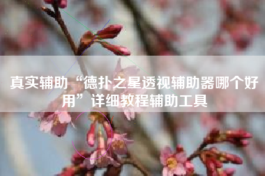 真实辅助“德扑之星透视辅助器哪个好用	”详细教程辅助工具