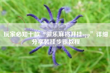 玩家必知十款“微乐麻将开挂app	”详细分享装挂步骤教程