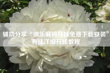 辅助分享“微乐麻将开挂免费下载安装”有挂详细开挂教程