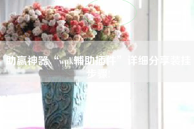 助赢神器“wpk辅助插件	”详细分享装挂步骤!