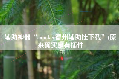 辅助神器“aapoker德州辅助挂下载	”(原来确实是有插件