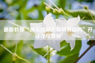 最新教你“微乐内蒙古麻将有挂吗	”开挂详细教程