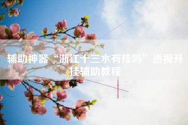 辅助神器“浙江十三水有挂吗	”透视开挂辅助教程