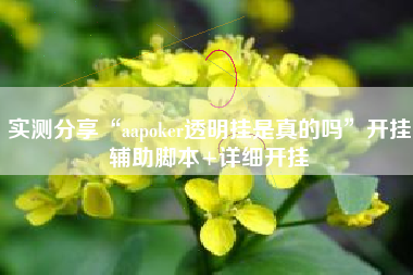 实测分享“aapoker透明挂是真的吗	”开挂辅助脚本+详细开挂