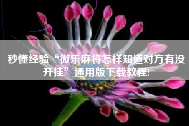 秒懂经验“微乐麻将怎样知道对方有没开挂”通用版下载教程!