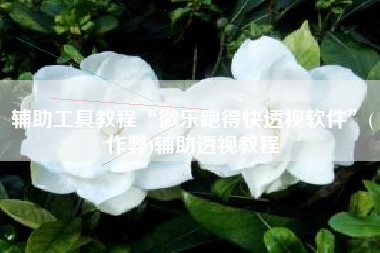 辅助工具教程“微乐跑得快透视软件	”(作弊)辅助透视教程