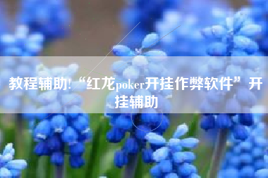 教程辅助!“红龙poker开挂作弊软件”开挂辅助