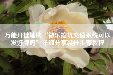 万能开挂辅助“微乐挖坑充值系统可以发好牌吗”详细分享装挂步骤教程