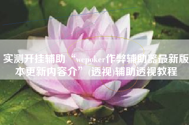 实测开挂辅助“wepoker作弊辅助器最新版本更新内容介”(透视)辅助透视教程