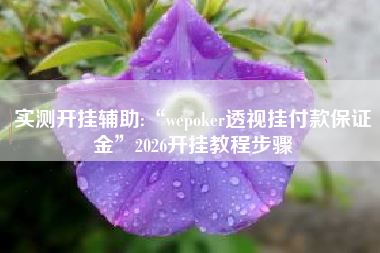 实测开挂辅助:“wepoker透视挂付款保证金”2026开挂教程步骤