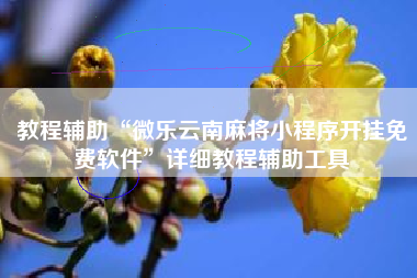 教程辅助“微乐云南麻将小程序开挂免费软件”详细教程辅助工具