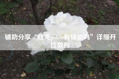 辅助分享“红龙poker有辅助吗”详细开挂教程