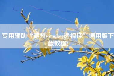 专用辅助“德州wepoker透视挂”通用版下载教程!
