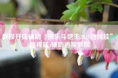 教程开挂辅助“微乐斗地主2025透视挂”(透视挂)辅助透视教程