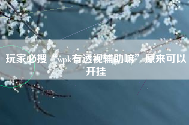 玩家必搜“wpk有透视辅助嘛”原来可以开挂