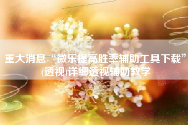 重大消息“微乐提高胜率辅助工具下载”(透视)详细透视辅助教学