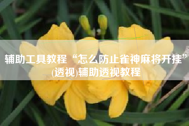 辅助工具教程“怎么防止雀神麻将开挂”(透视)辅助透视教程