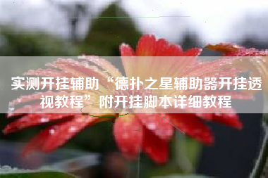 实测开挂辅助“德扑之星辅助器开挂透视教程”附开挂脚本详细教程