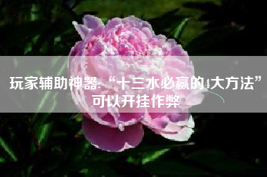 玩家辅助神器:“十三水必赢的4大方法”可以开挂作弊