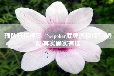 辅助开挂神器“wepoker底牌透视挂”(透视)其实确实有挂