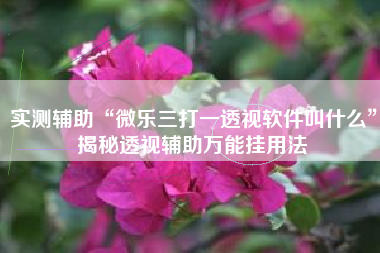 实测辅助“微乐三打一透视软件叫什么”揭秘透视辅助万能挂用法