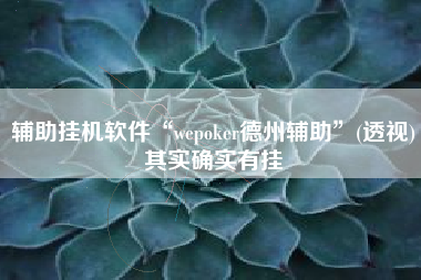 辅助挂机软件“wepoker德州辅助”(透视)其实确实有挂