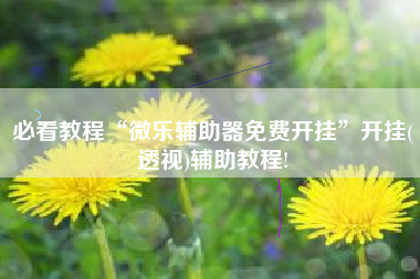 必看教程“微乐辅助器免费开挂”开挂(透视)辅助教程!