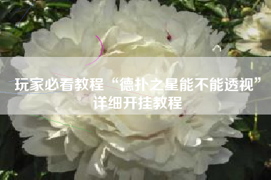 玩家必看教程“德扑之星能不能透视”详细开挂教程