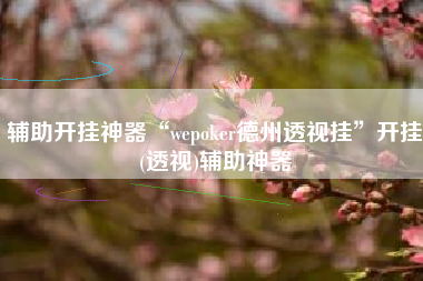 辅助开挂神器“wepoker德州透视挂	”开挂(透视)辅助神器
