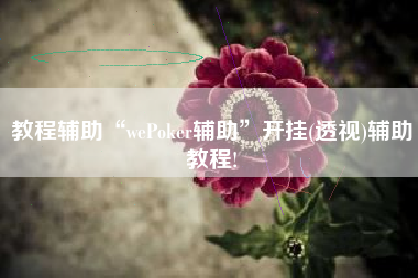教程辅助“wePoker辅助”开挂(透视)辅助教程!